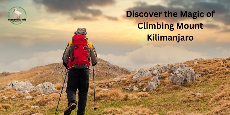 Discover the Magic of Climbing Mount Kilimanjaro