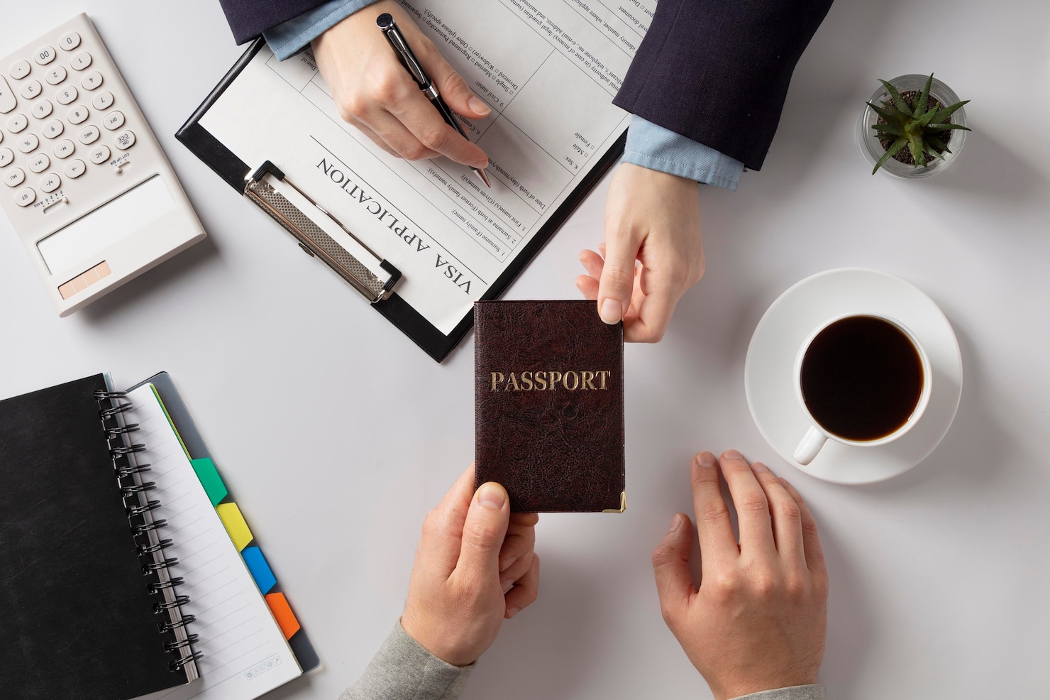 NZ Student Visa 2025: New SOP Expectations & Powerful Writing Tips for Guaranteed Approval