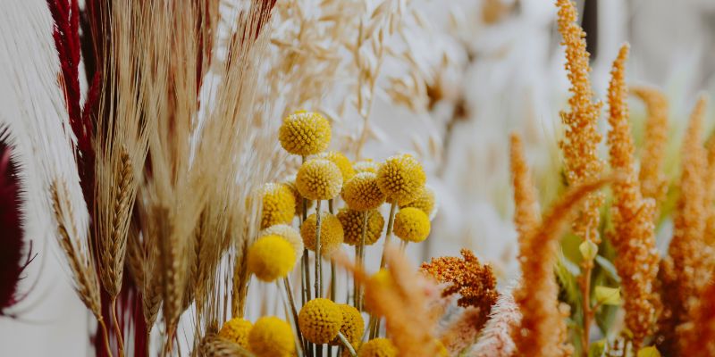 The Secret Behind Everlasting Craft Blooms