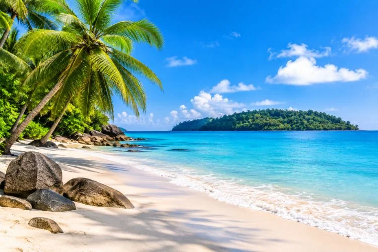 Discover The Best Beaches With Andaman Tour Packages From Indore